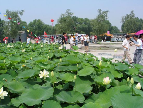 門(mén)票印刷流程一覽